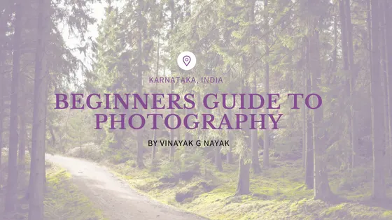 beginners guide to photo