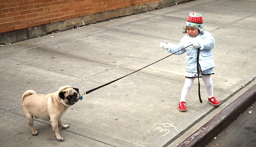 A young kid holding a leash of a pet dog. Graphic used for the blog post on how to earn money online as a kid fast