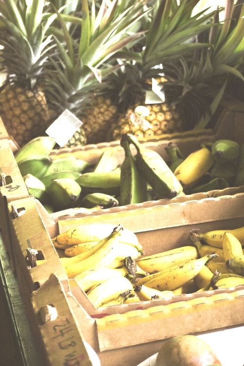 bananas and pineapples in basket - graphic for how to make money as a kid offline or online