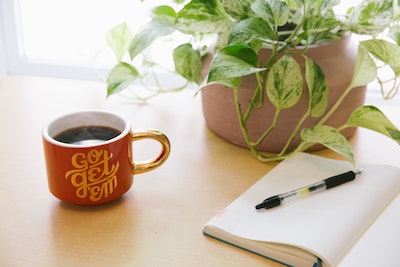 genius bloggers toolkit review blog pos -blog graphic with a cup of tea and money plant on the side