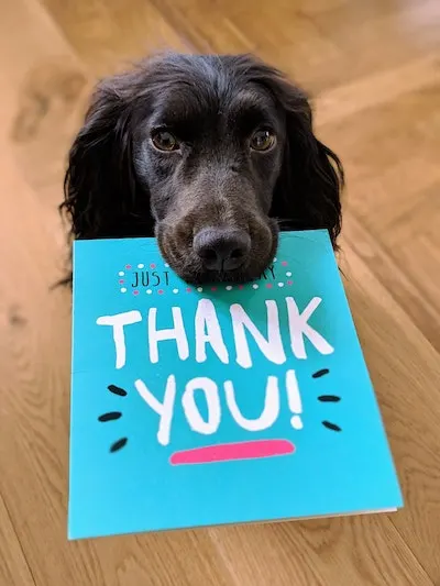 thank you for money gift - dog holding a card saying thank you