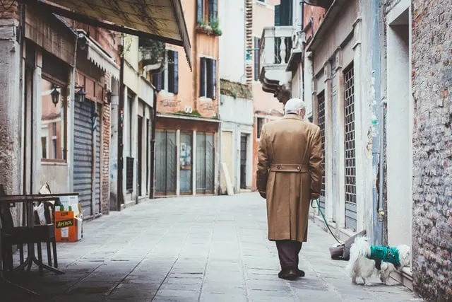 In this image an old man is walking with a white dog on the street