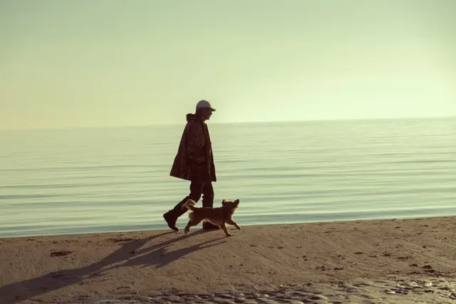 In this image a man and his dog are seen walking near a river.