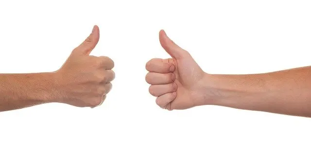 In this image two hands showing thumbs up.
