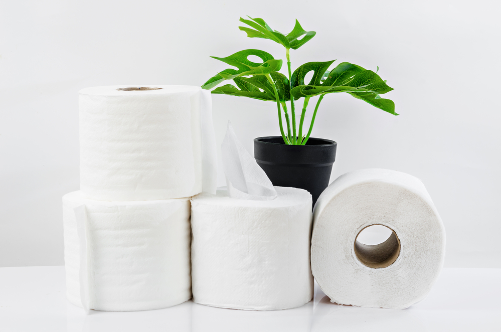 Tissue paper rolls and green leaves on white background.