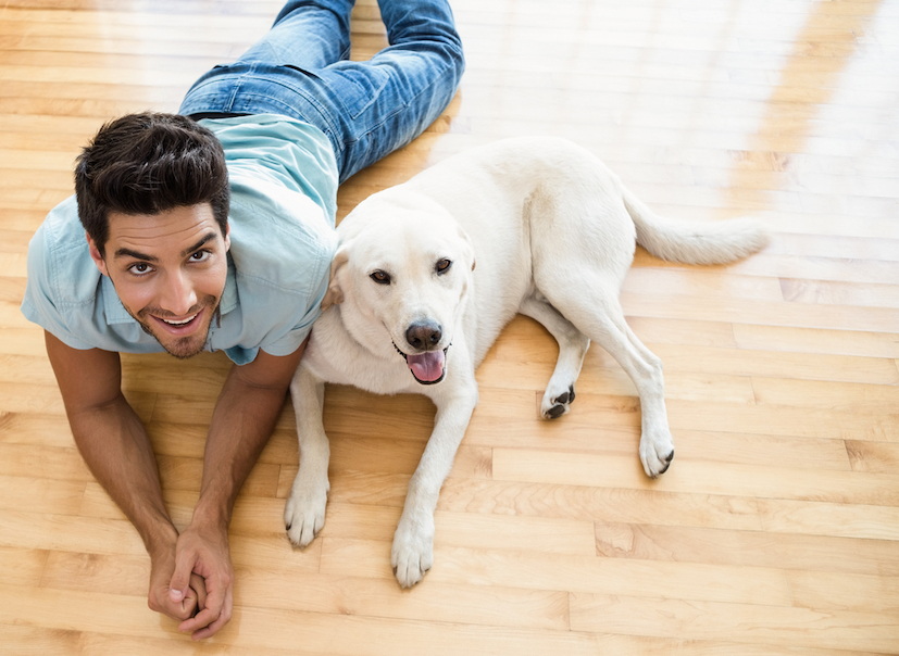 Attractive man lying on floor with his labrador at home in living room