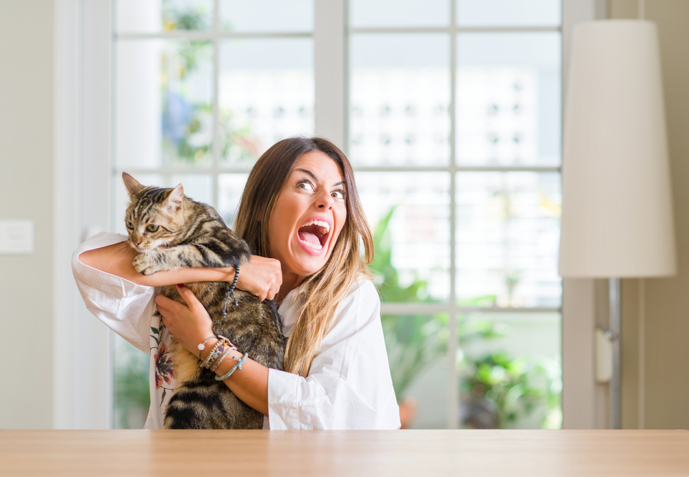 His Pregnant Wife Asks Him To Clean Cat Box He SUGGESTS To Re Home The 