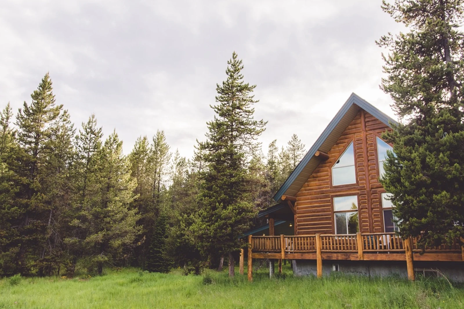 Wooden beam log cabin amidst lush forest