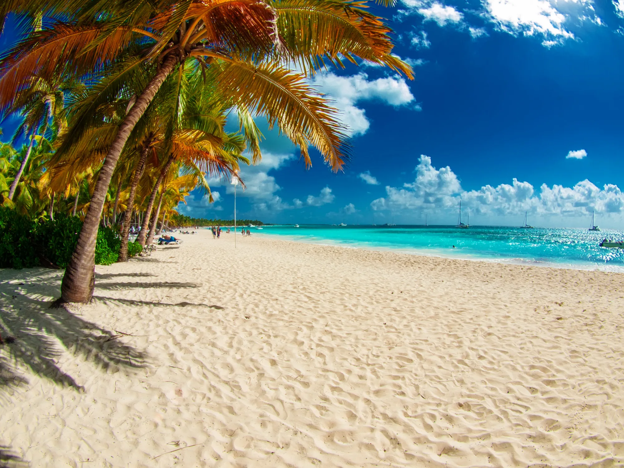 tropical beach in Dominican republic. Caribbean sea. Saona island