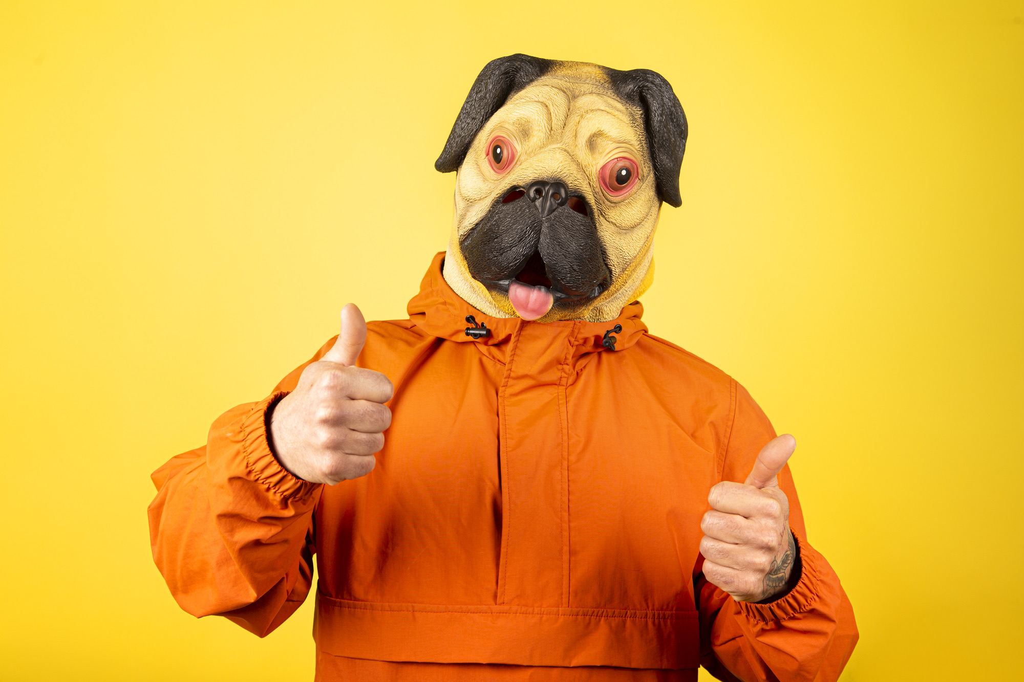 Man with pug dog mask isolated on a yellow background with gesture of approval.