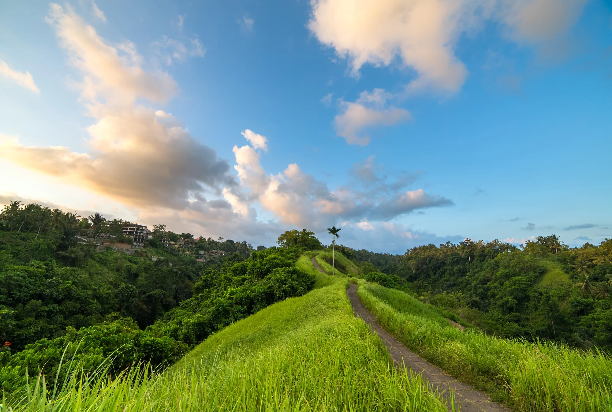 Sunset sky over the famous Campuhan Ridge Walk in Ubud, Bali, Indonesia