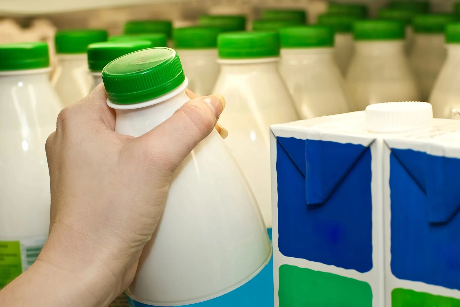 Milk Dairy Grocery Shopping